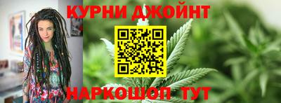 прущие грибы Новозыбков