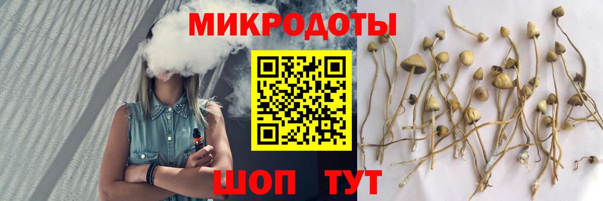 Спасск-Дальний  Псилоцибиновые грибы прущие грибы  Вход с VPN 